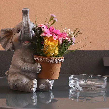 Charming Retreat - 5 Min Praia&centro B Machico (Madeira)